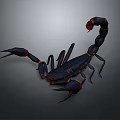 Realistic 3D Scorpion Model with Dark Blue Body Red Claws and Tail
