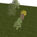 arbor tree landscape tree pool arbor street tree maple tree courtyard tree pomegranate tree apple tree orange tree peach tree 3d model