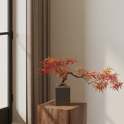 Elegant Bonsai Tree With Red And Orange Leaves On Wooden Table Indoor With Window Curtains 3d model
