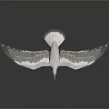 White Seagull Flying with Spread Wings Yellow Beak and Orange Feet Against Gray Background