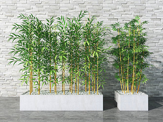 Modern Bamboo Potted Plant 3d model