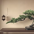 Traditional Bonsai Tree With Curved Branches On Wooden Table And Chinese Lantern