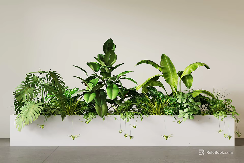 Diverse Green Potted Plants Arranged in White Rectangular Planter for Indoor Decor 3d model