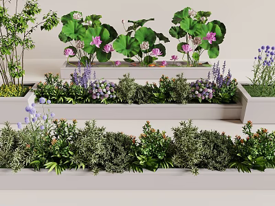 Colorful Plant Combination With Pink Purple Flowers And Green Leaves In Planters 3d model