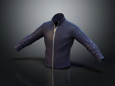 Blue Stand Collar Jacket With White Zipper And Modern Sleek Design 3d model