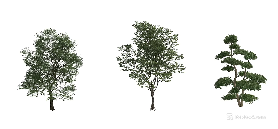 Three Arbor Trees With Diverse Green Foliage And Single Trunks On White Background 3d model
