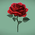 Vibrant Red Rose Flower With Fresh Green Leaves On Light Green Background