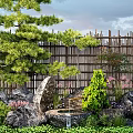 Modern landscape stone waterscape Luohan pine modeling tree stone landscape tree landscaping 3d model