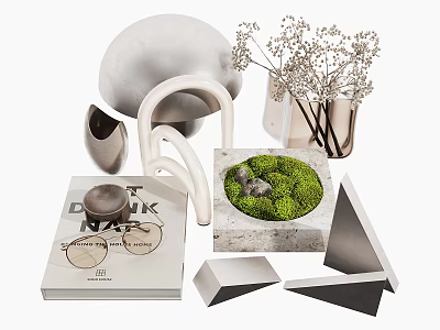 Decorative Ornament Set with Loop and Geometric Shapes Dried Flowers Moss and Magazine 3d model
