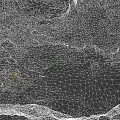 Natural Microtopography With Rocks Grass And Flowing Stream In Scenic Area