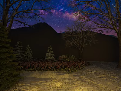 Stunning Night Landscape With Milky Way Starry Sky Snowy Ground And Mountain Silhouette 3d model