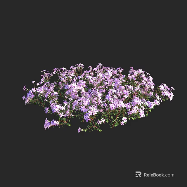 Delicate Purple And White Small Flowers In Lush Clustered Growth 3d model 