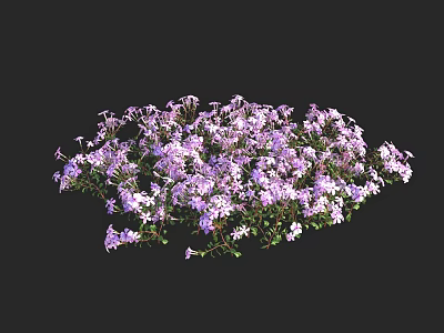 Delicate Purple And White Small Flowers In Lush Clustered Growth 3d model