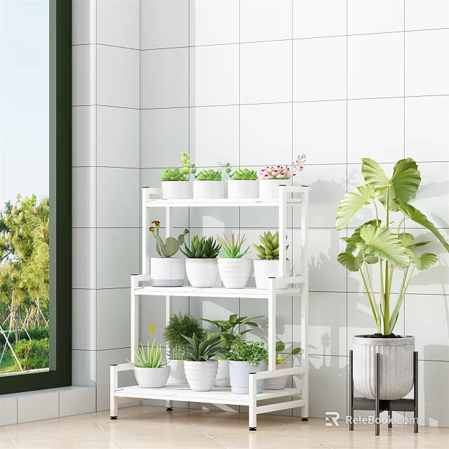 Charming Garden Decor With White Multi Tiered Plant Stand White Pots Succulents And Large Leafy Plant 3d model 