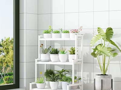 Charming Garden Decor With White Multi Tiered Plant Stand White Pots Succulents And Large Leafy Plant 3d model