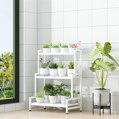 Charming Garden Decor With White Multi Tiered Plant Stand White Pots Succulents And Large Leafy Plant 3d model