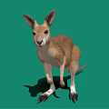 Kangaroo Plush Toy Decoration For Kids Room And Gift Options