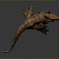 Realistic Brown Dinosaur With Standing Pose Sharp Claws And Long Tail