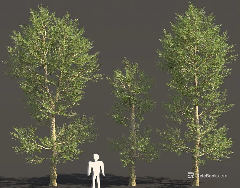 Green Leafy Trees In Different Sizes With White Human Figure Nearby 3d model 