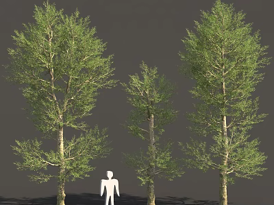 Green Leafy Trees In Different Sizes With White Human Figure Nearby 3d model