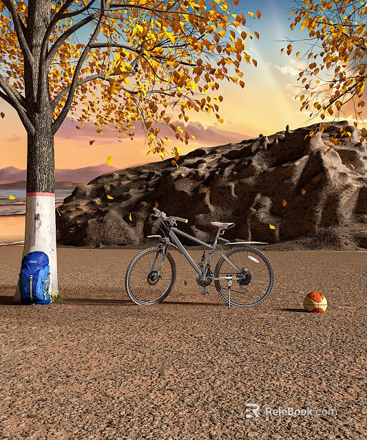 Bike Parked By Tree With Basketball And Rocks At Sunset 3d model 