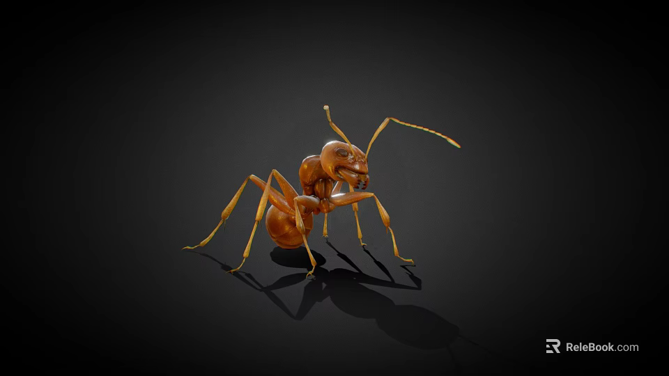 Orange Ant On Black Background With Detailed Antennae Legs And Body Structure 3d model 
