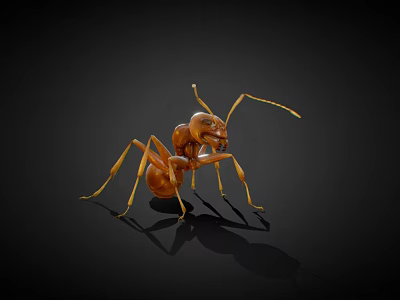 modern ant 3d model modern ant 3d model