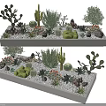 Various Succulent Plants and Cacti in White Rectangular Planters with Decorative Pebbles 3d model
