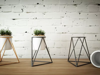 Bonsai Potted Plants on Metal Stands with Various Designs Against White Brick Wall 3d model