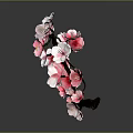 Pink and White Cherry Blossom Branch Featuring Delicate Flowers and Curved Twigs