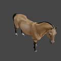 Brown Horse Game Character With Black Mane Tail Muscular Build 3D Rendered