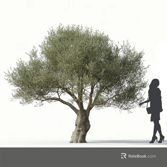 Tall Tree With Lush Foliage And Thick Trunk Standing Beside Woman Carrying Handbag Wearing High Heels 3d model 