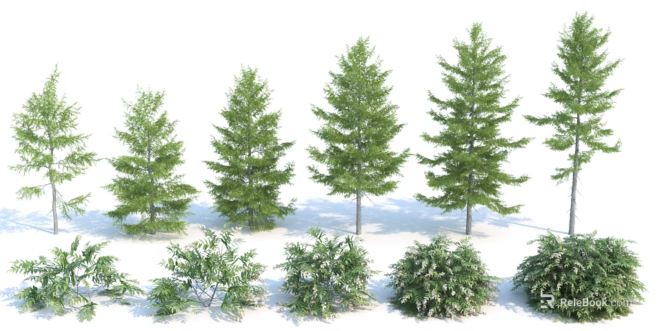 Tall Arbor Trees With Lush Green Foliage In Various Heights And Natural Growth Forms 3d model 