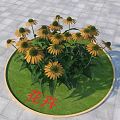 Yellow Flowers Growing On Circular Green Lawn With Stone Pavement Background