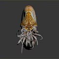 Nautilus Marine Animal With Spiral Striped Orange And White Shell And Tentacles