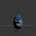 Striking Blue Swordfish With Open Mouth White Underbelly And Shiny Body On Dark Background