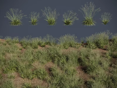 Green Grass with Various Forms Displaying Single Plants and Clusters Against Dark Background 3d model