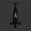 Lifelike Black And White Orca Aquatic Animal With Open Mouth And Dorsal Fin