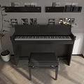 Elegant Piano And Art Frames In Modern Interior With Bench Shelves And Plant