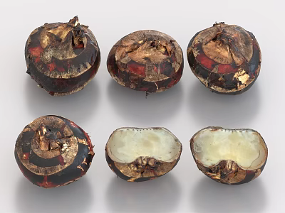 Fresh Water Chestnuts Display Whole and Cut Open Showing Inner White Flesh 3d model