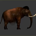 Red Fur Mammoth With Black Mane And Long White Tusks On Gray Background