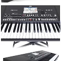 KORG Electronic Keyboard With Stand And Music Accessories Complete Set 3d model