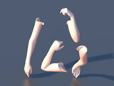 Woman's Arms And Hands In Various Poses On Gray Background Showing Different Gestures 3d model
