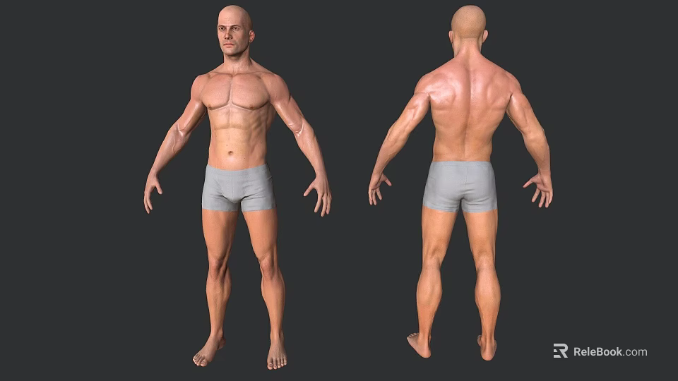 Man Showing Muscular Body Front And Back View In Grey Shorts 3d model 