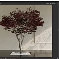 Modern Maple Tree Landscape Tree Maple Leaf 3d model