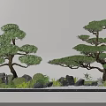 Traditional Zen Garden Landscape with Shaped Pine Trees Stones and Mossy Plants