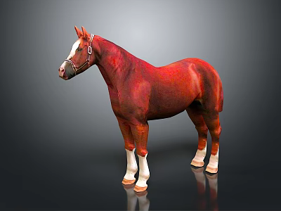 Chestnut Horse With White Legs And Hooves Wearing Bridle Isolated On Gray Background 3d model