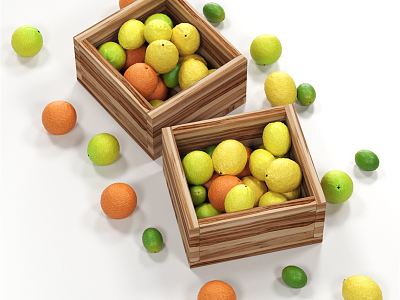 Modern fruit model