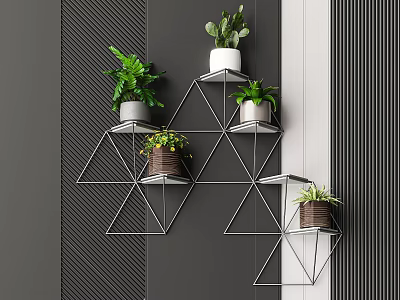 Bonsai Potted Plants On Geometric Metal Wall Mounted Shelves With Green Leafy Foliage 3d model