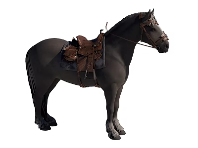Black Horse With Leather Saddle And Traditional Riding Harness Equipment 3d model
